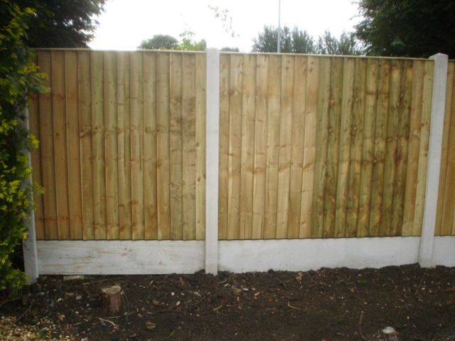 Feather Edge Fence